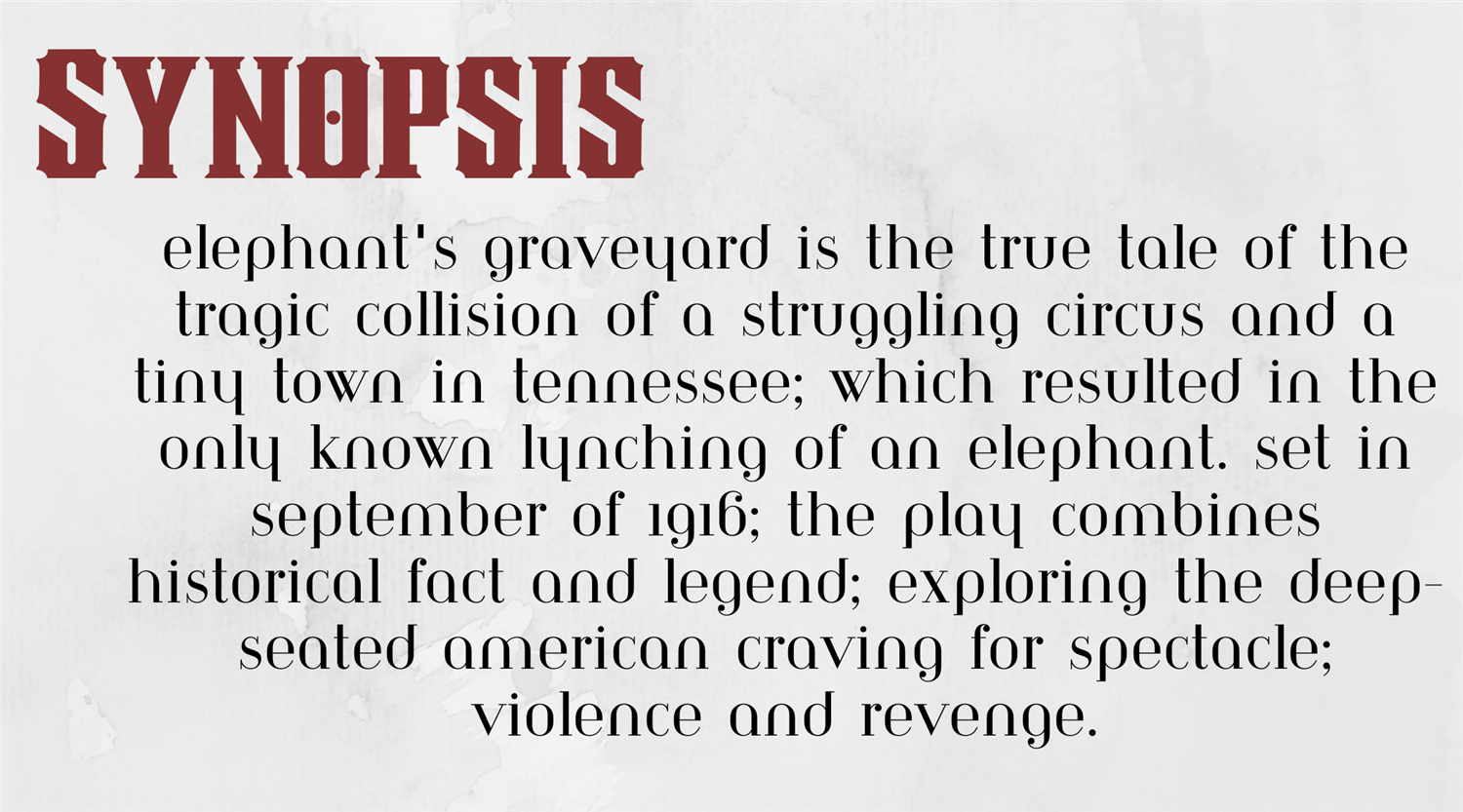 synopsis